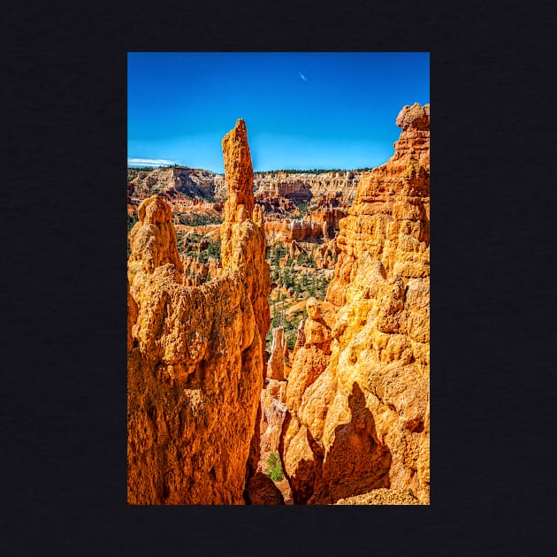 Bryce Canyon National Park by Gestalt Imagery